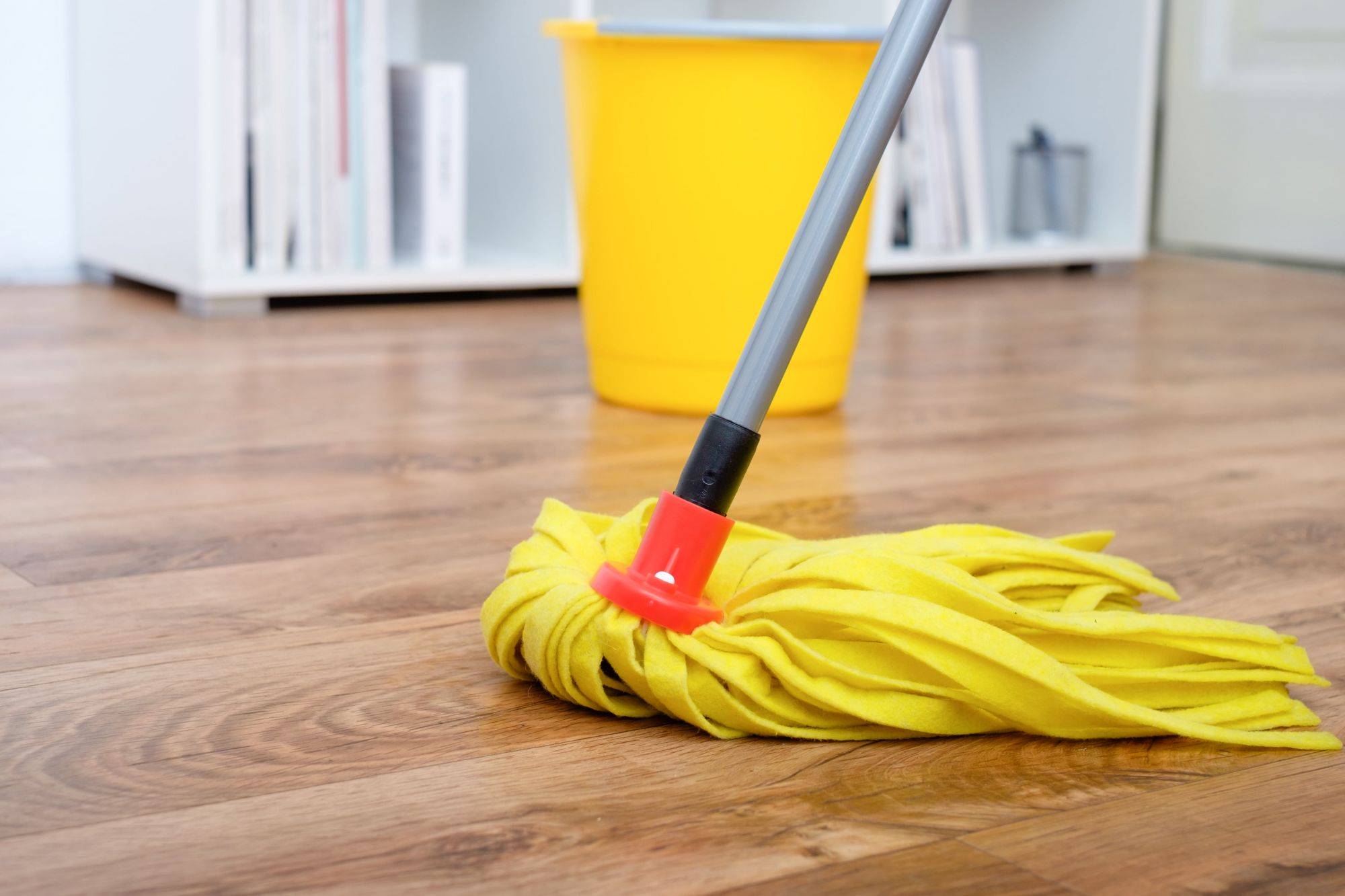 ENTRETENIR PARQUET | Solesca Nettoyage en profondeur : les astuces pour un parquet éclatant et protégé Kingersheim 0